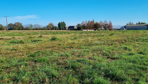 Terrain  à vendre Gardères 65320