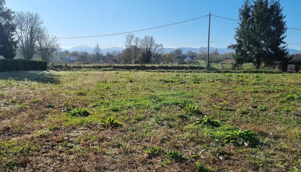 Terrain  à vendre Gardères 65320