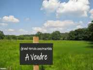 Terrain À Vendre 1500 m² env — photo 2