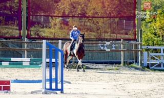 Photo N° 3