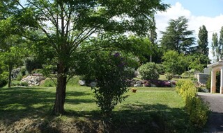 Photo N° 5