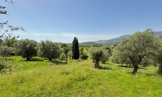 Terrain  2615 m² à vendre à Opio (06650)