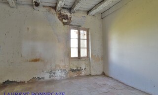 Photo N° 8