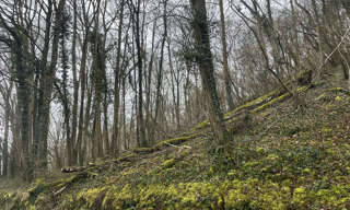 Terrain   m² à vendre à Vailly-sur-Aisne (02370)