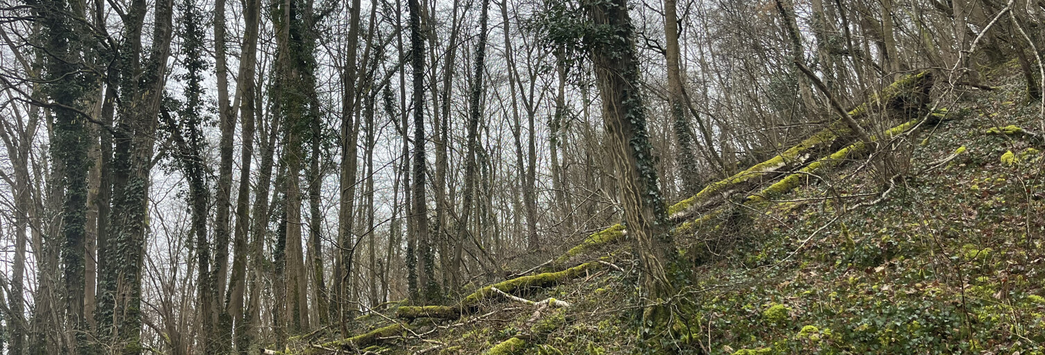 Terrain   m² à vendre à Vailly-sur-Aisne (02370)