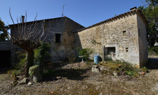 Photo N° 5