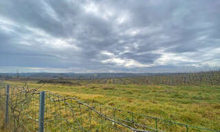 Terrain   m² à vendre à Pellegrue (33790)