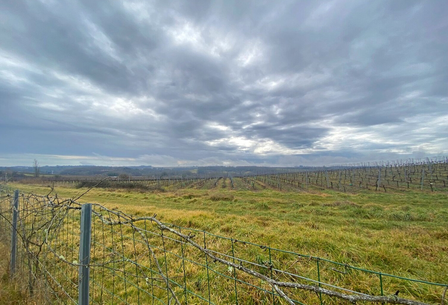 Beau terrain à bâtir  — photo 1