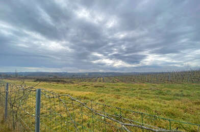 Terrain  28000 €