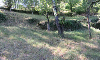 Photo N° 6
