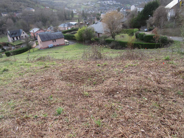 Terrain à Marcillac-Vallon — photo du bien