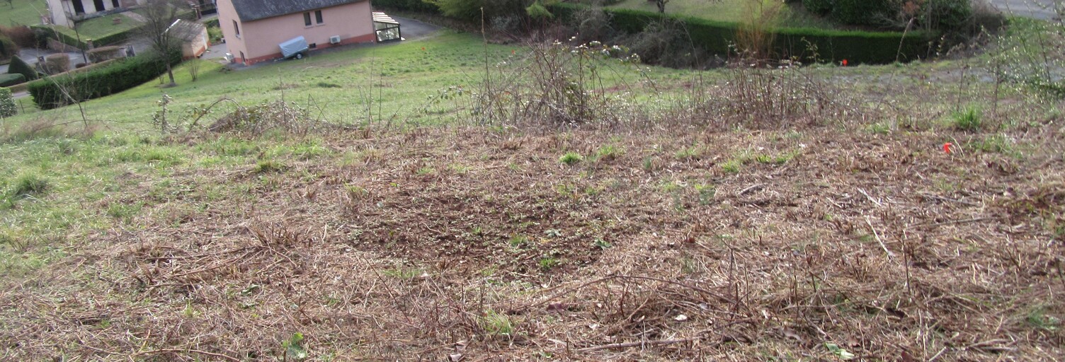 Terrain   m² à vendre à Marcillac-Vallon (12330)