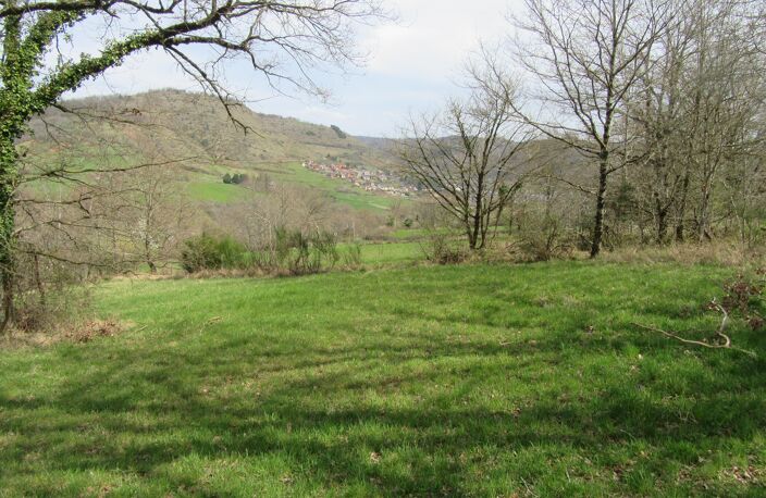 LE VALLON Jolie cabane de vigne avec terrain — photo 2