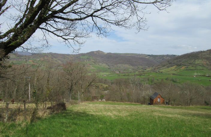 LE VALLON Jolie cabane de vigne avec terrain — photo 3