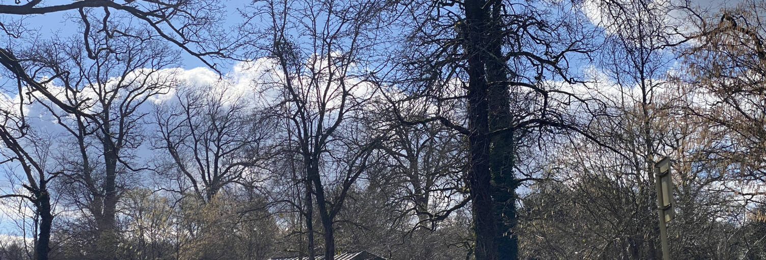 Maison 20 Pièces 900 m² à vendre à Juvigny-Val-d'Andaine (61140)