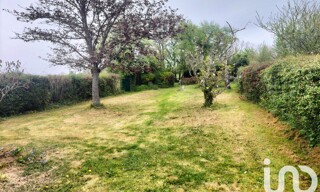 Photo N° 15
