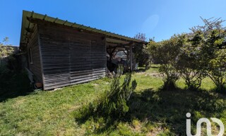 Photo N° 9