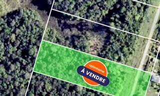 Terrain  20025 m² à vendre à Mana (97360)