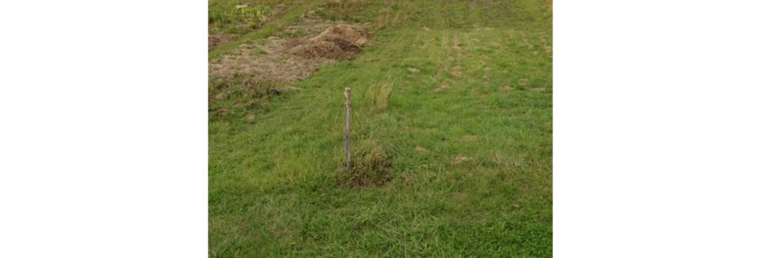 Terrain  890 m² à vendre à Commercy (55200)