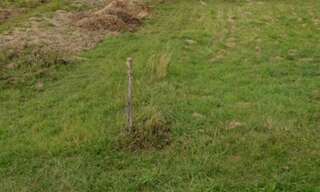 Terrain  890 m² à vendre à Commercy (55200)