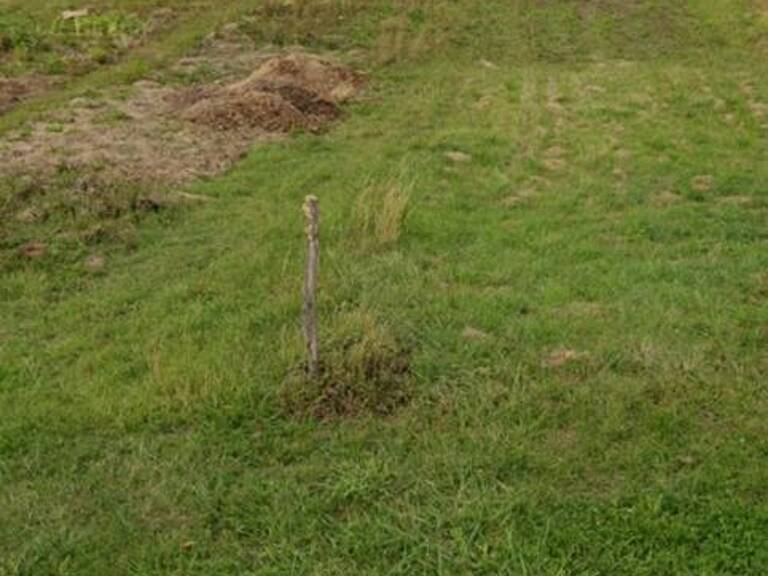 Terrain — photo 1