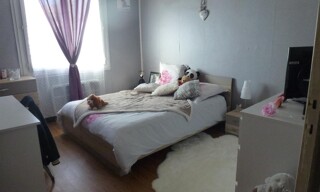 Photo N° 5