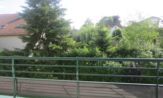 Photo N° 4