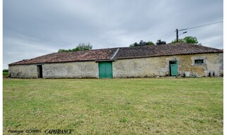 Photo N° 4