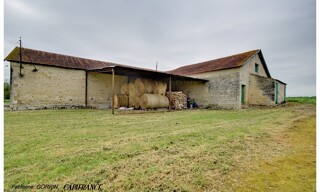 Photo N° 5