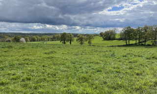 Photo N° 5