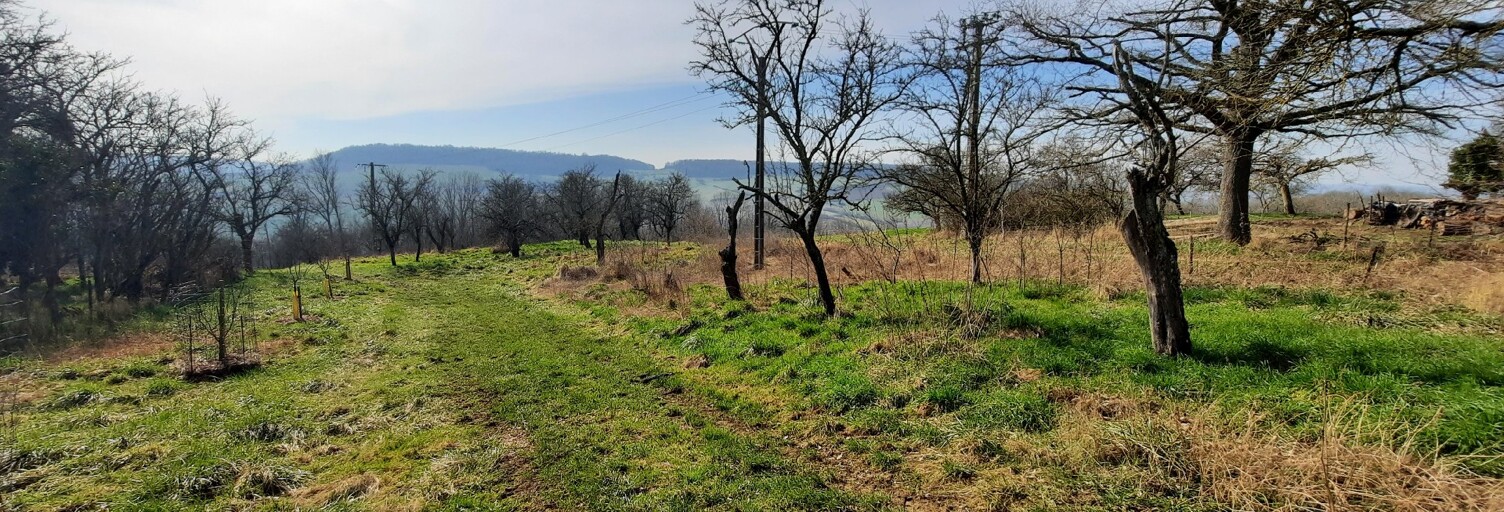 Terrain   m² à vendre à Landremont (54380)