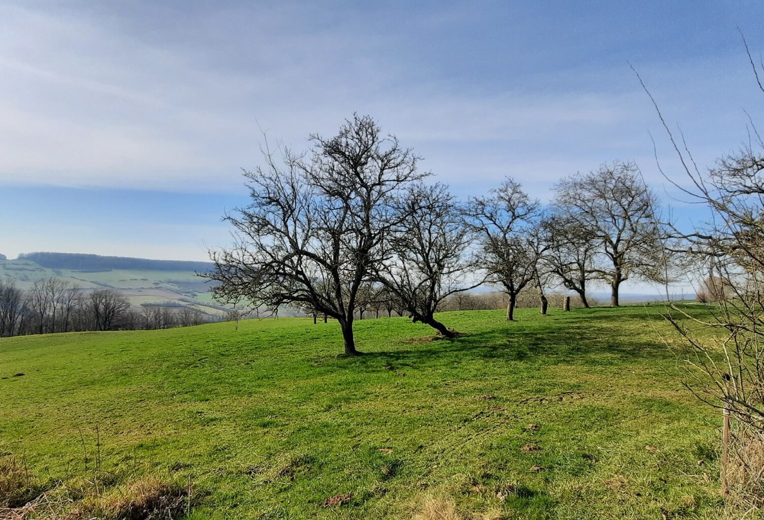 Terrain de 2000 m&sup2;  m&sup2; — photo 1
