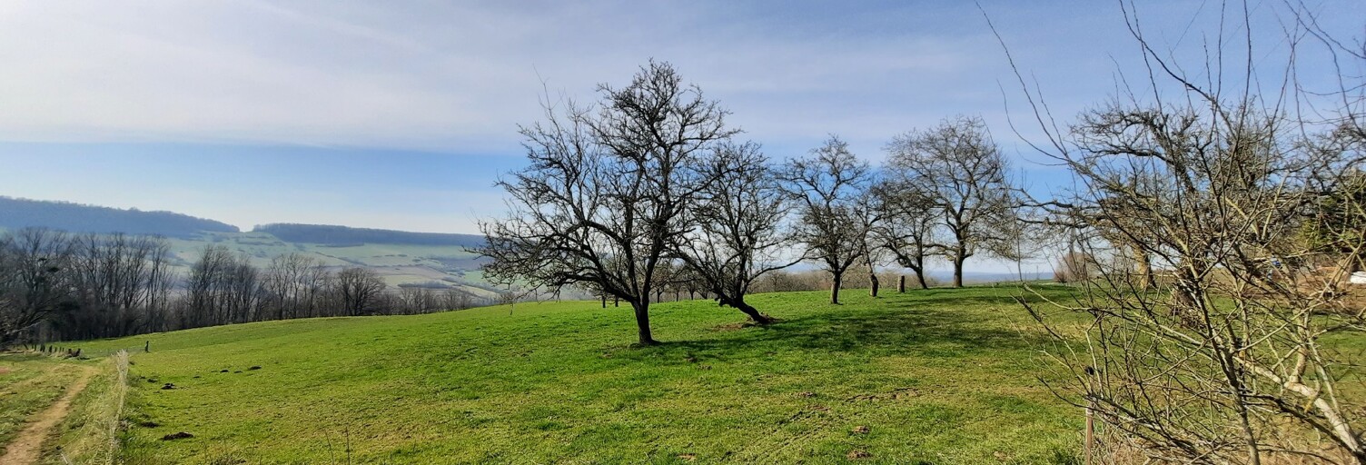 Terrain  2000 m² à vendre à Landremont (54380)