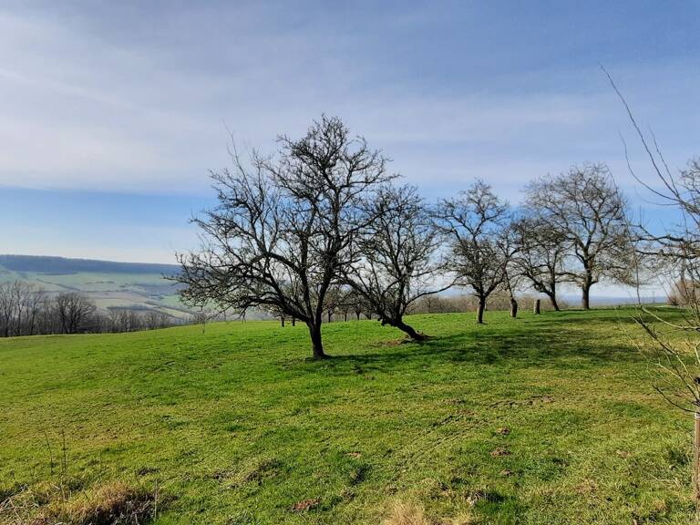 Terrain de 2000 m&sup2;  m&sup2; — photo 1
