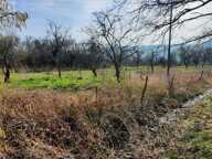 Terrain de 2000 m&sup2;  m&sup2; — photo 3