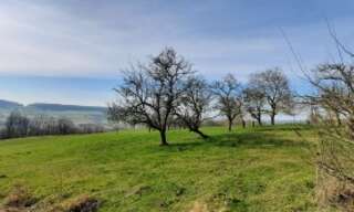 Terrain  1200 m² à vendre à Dieulouard (54380)