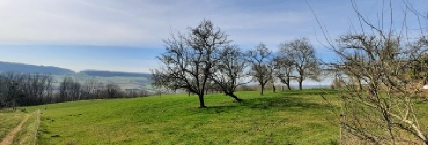 Terrain  1200 m² à vendre à Dieulouard (54380)