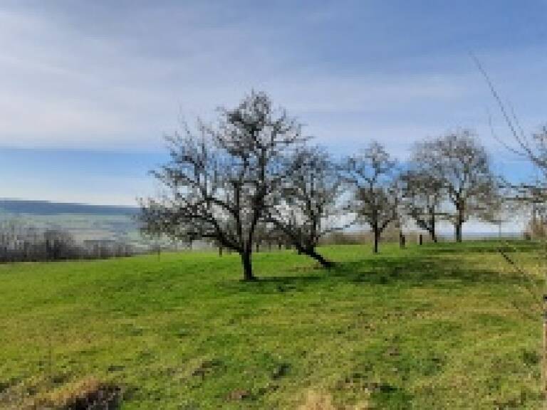 Terrain de 1200 m&sup2;  m&sup2; — photo 1