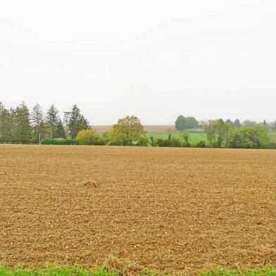Terrain  49000 €