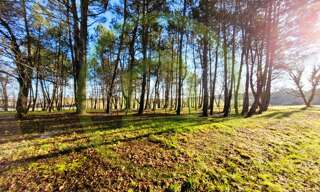 Terrain  3390 m² à vendre à Soubran (17150)