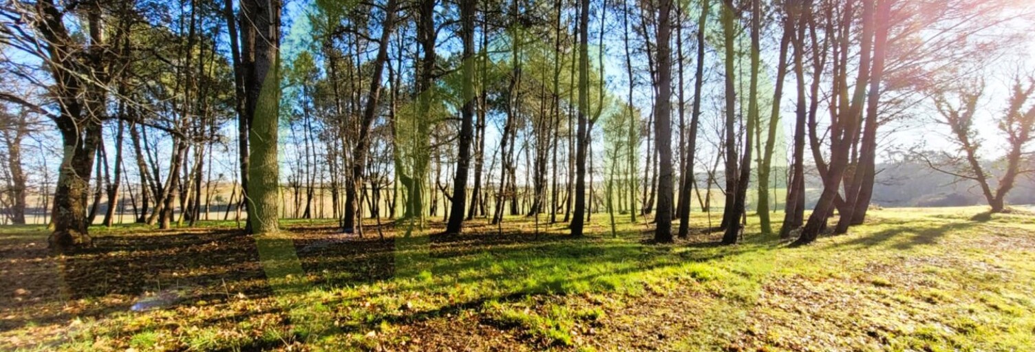 Terrain  3390 m² à vendre à Soubran (17150)