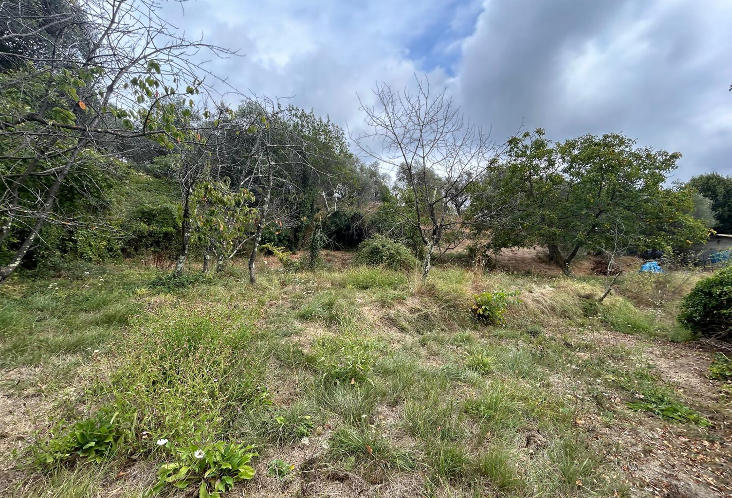 terrain constructible de 1415 m2 quartier Colla Donna — photo 1
