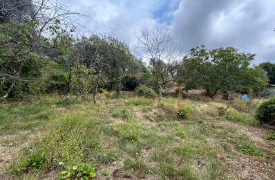 terrain constructible de 1415 m2 quartier Colla Donna — photo du bien