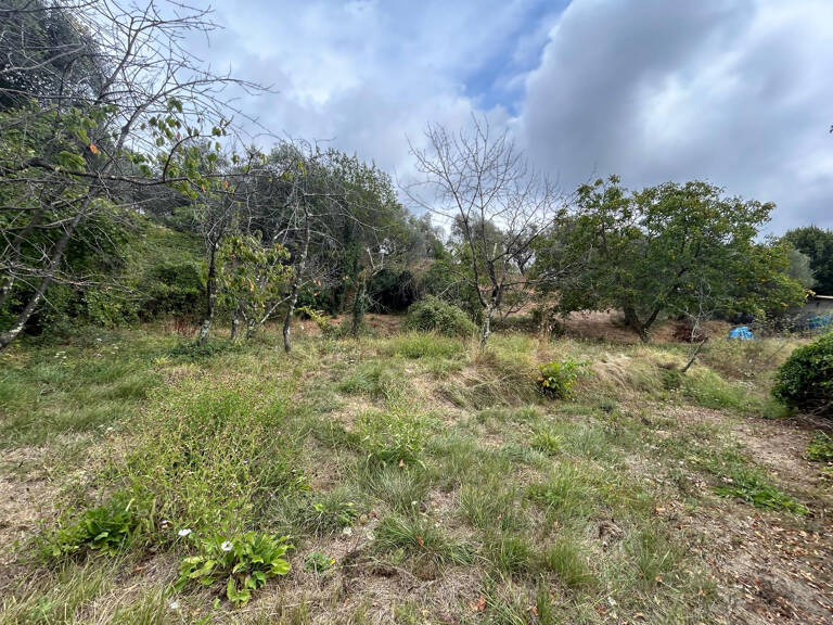 terrain constructible de 1415 m2 quartier Colla Donna — photo 1