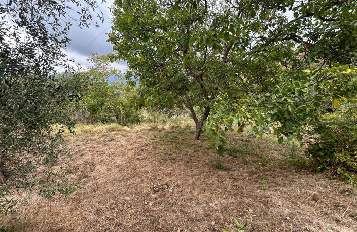 terrain constructible de 1415 m2 quartier Colla Donna — photo 2