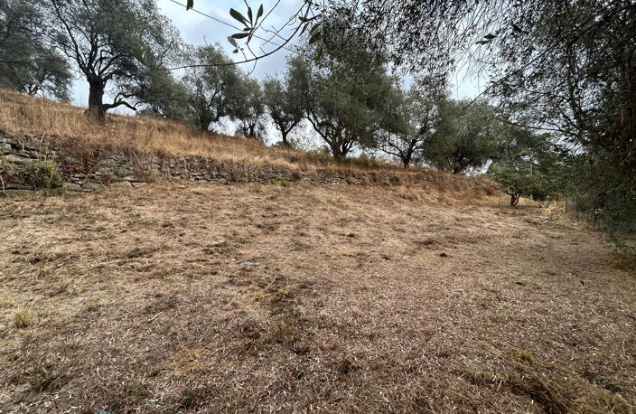 terrain constructible de 1415 m2 quartier Colla Donna — photo 3