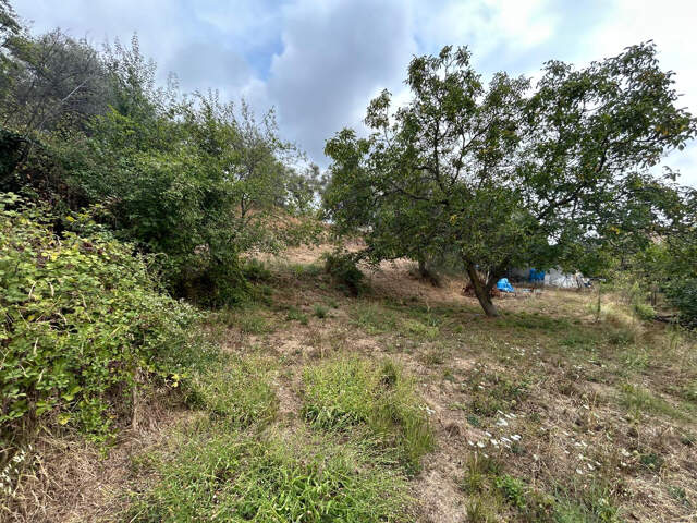 terrain constructible de 1415 m2 quartier Colla Donna — photo du bien