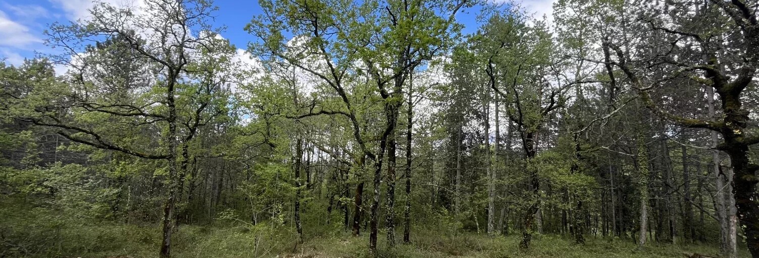 Terrain  1269 m² à vendre à Cahors (46000)