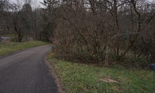 Photo N° 3