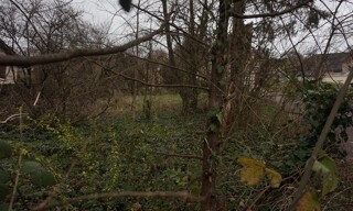 Photo N° 4